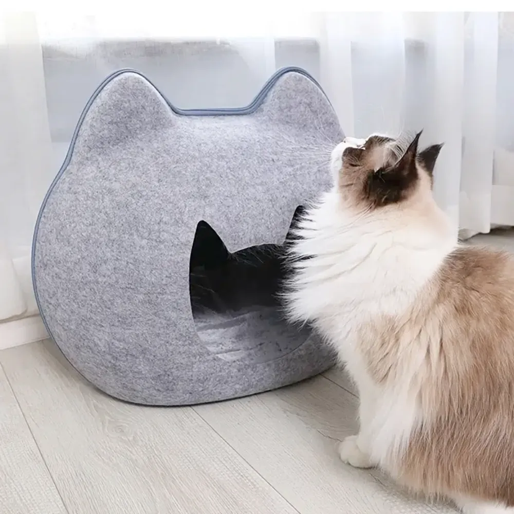 Adorable Cat Shape All Season Pet House