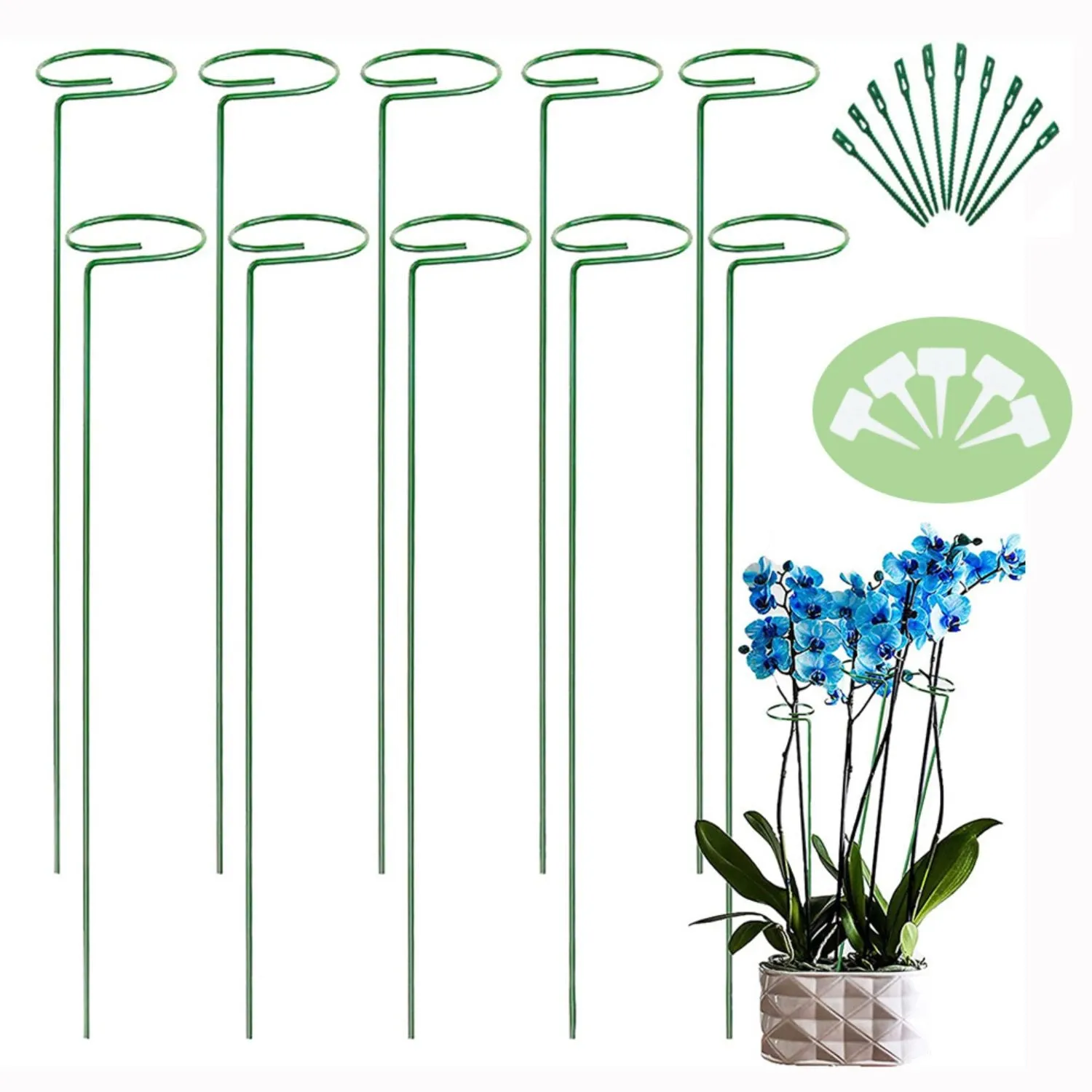 Durable Iron Plant Stakes Set, Gentle Curved Design - Noveden