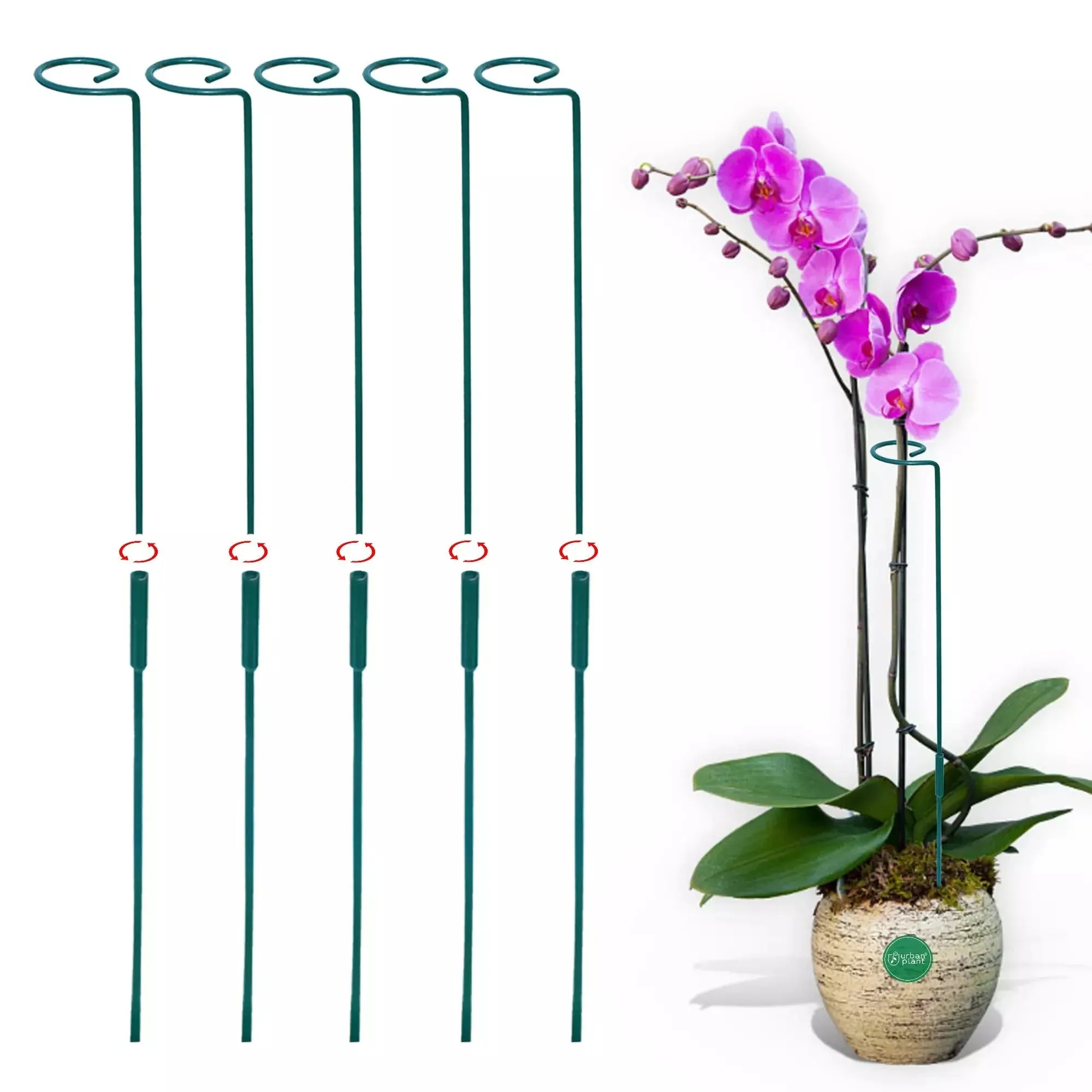 Garden Stakes - Metal Plant Support Sticks