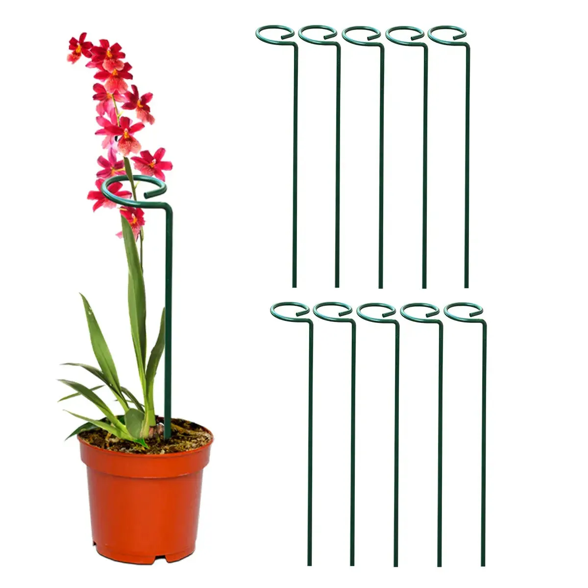 Garden Stakes - Metal Plant Support Sticks