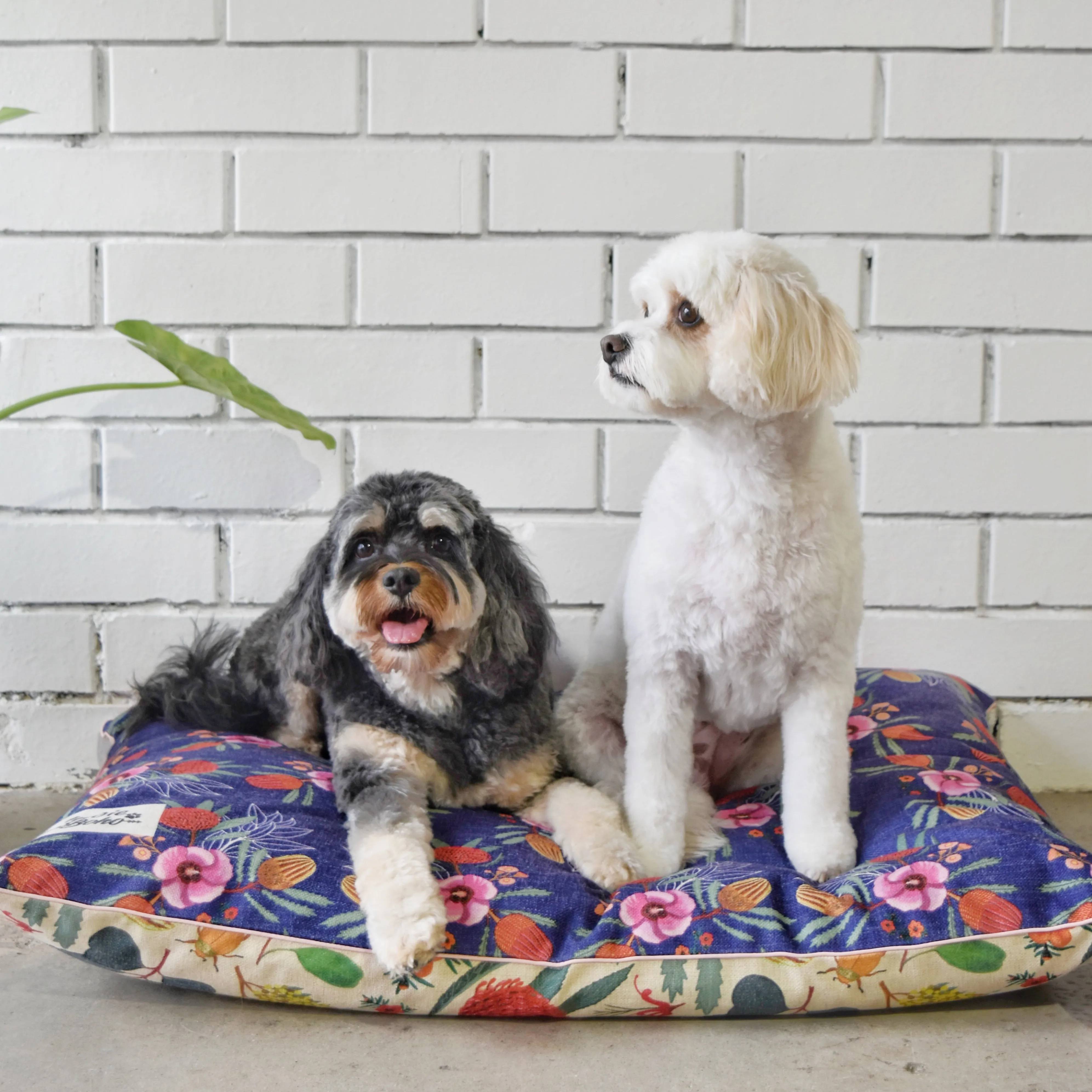 Native Flora – LARGE Dog Bed